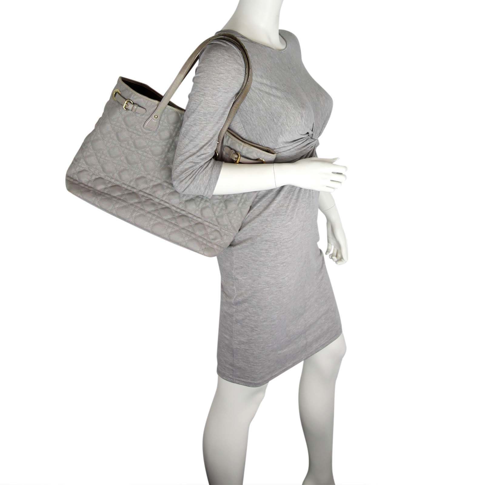 Dior Panarea Tote Scale