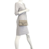 Gucci Dionysus GG Supreme Chain Wallet Mannequin