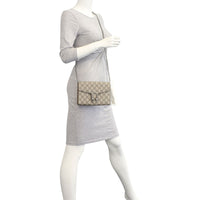 Gucci Dionysus GG Supreme Chain Wallet Mannequin