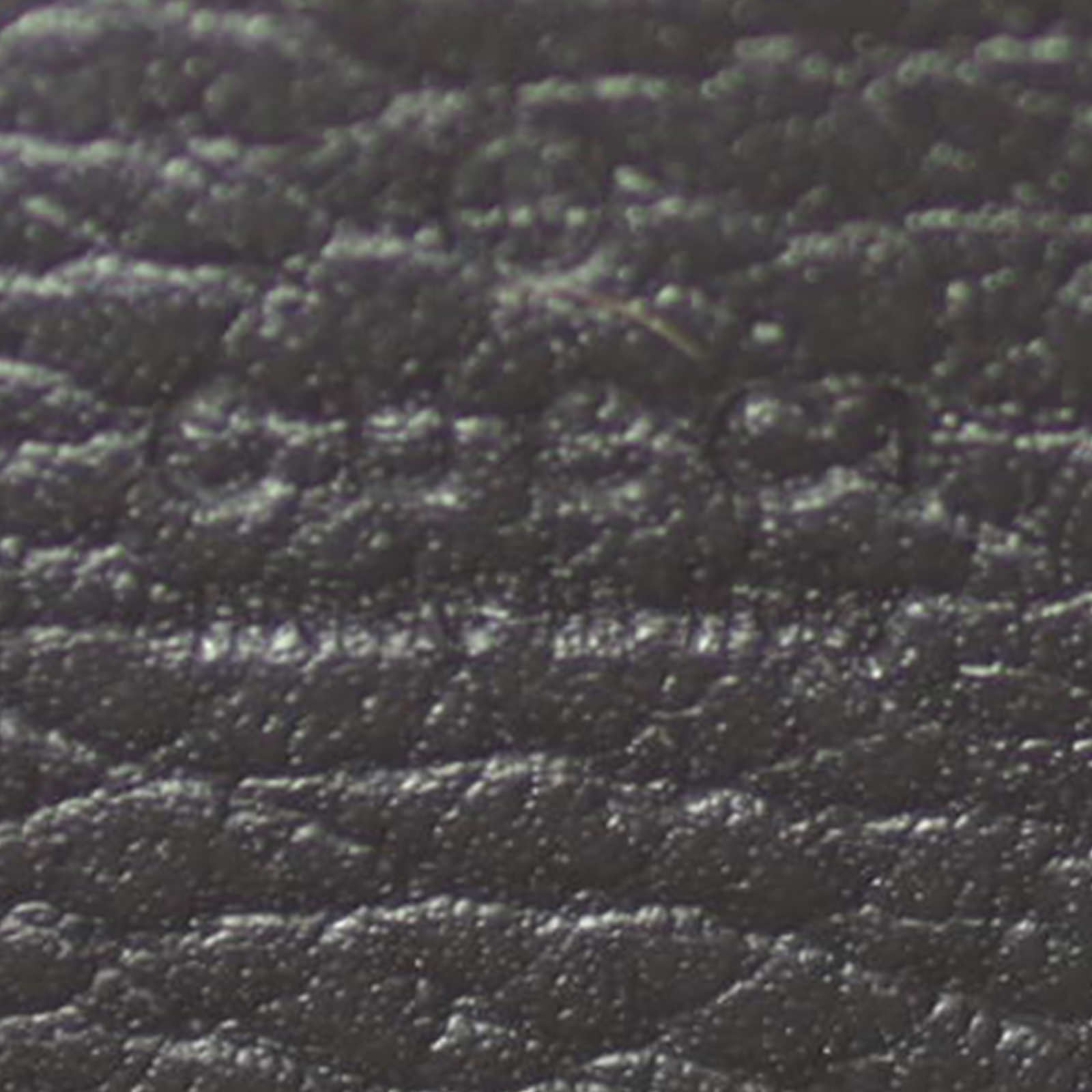 Gucci Dionysus Leather Chain Wallet Stamp