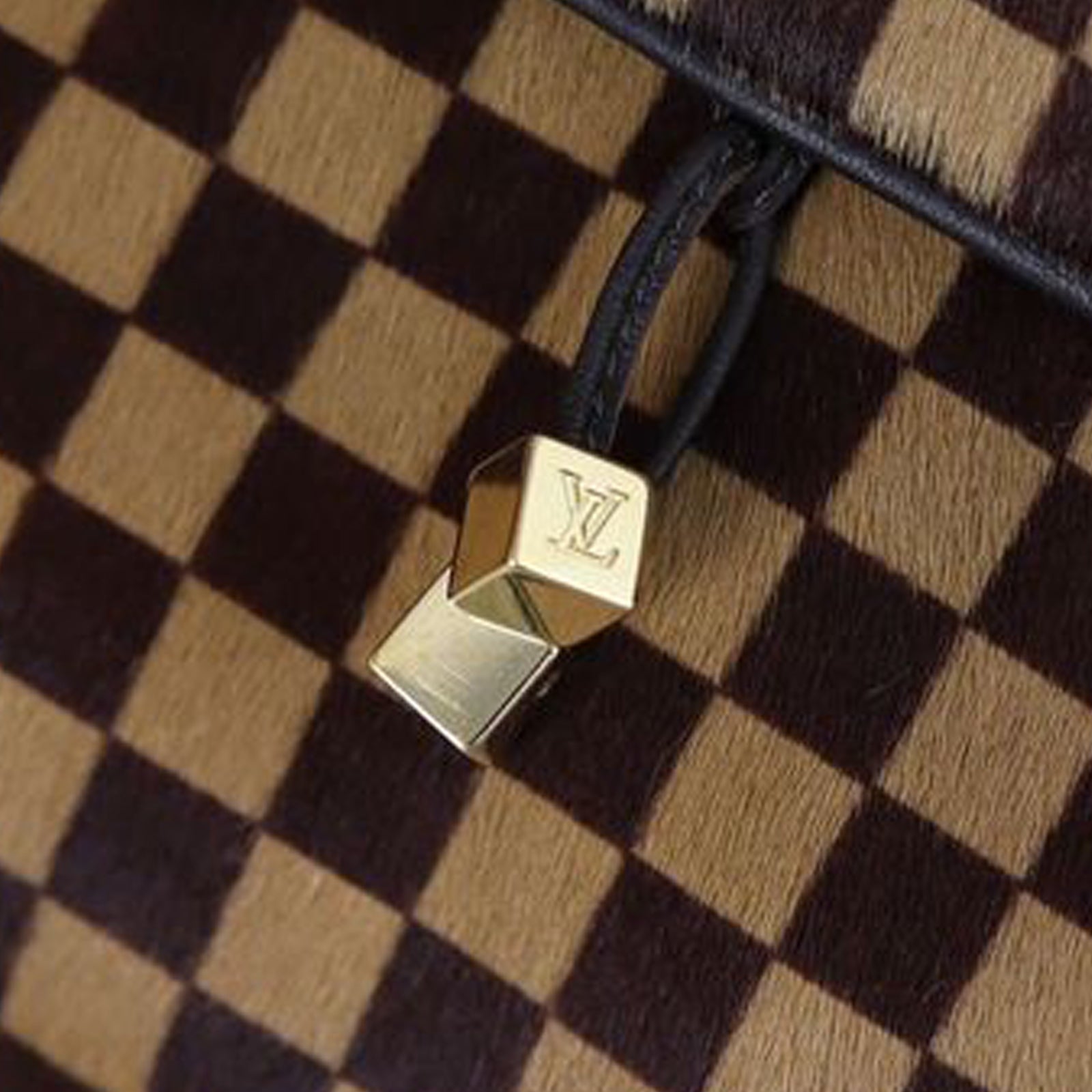 Louis Vuitton Damier Sauvage Gazelle Bag Hardware