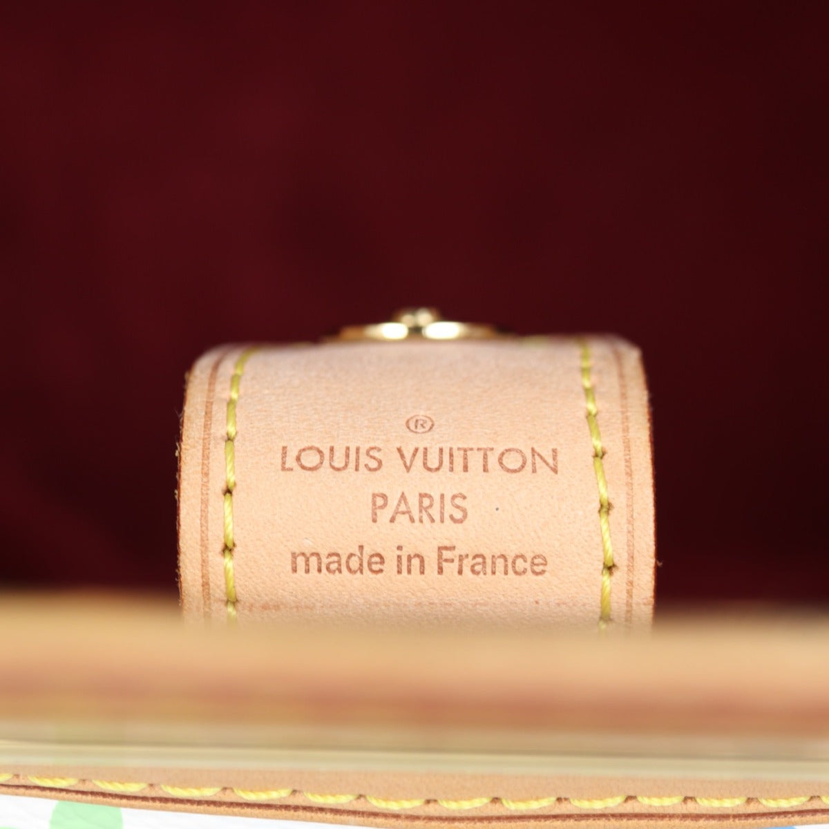 Louis Vuitton Judy MM Multicolore
