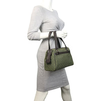 Louis Vuitton Josephine PM Mini Lin