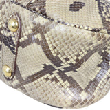 Louis Vuitton Galliera PM Python