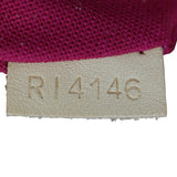 Louis Vuitton Delightful PM Monogram