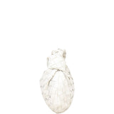 Bottega Veneta Jodie Hand Bag Mini