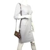 Louis Vuitton Eva Pochette Damier Ebene