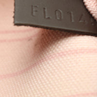 Louis Vuitton Neverfull MM Damier Ebene