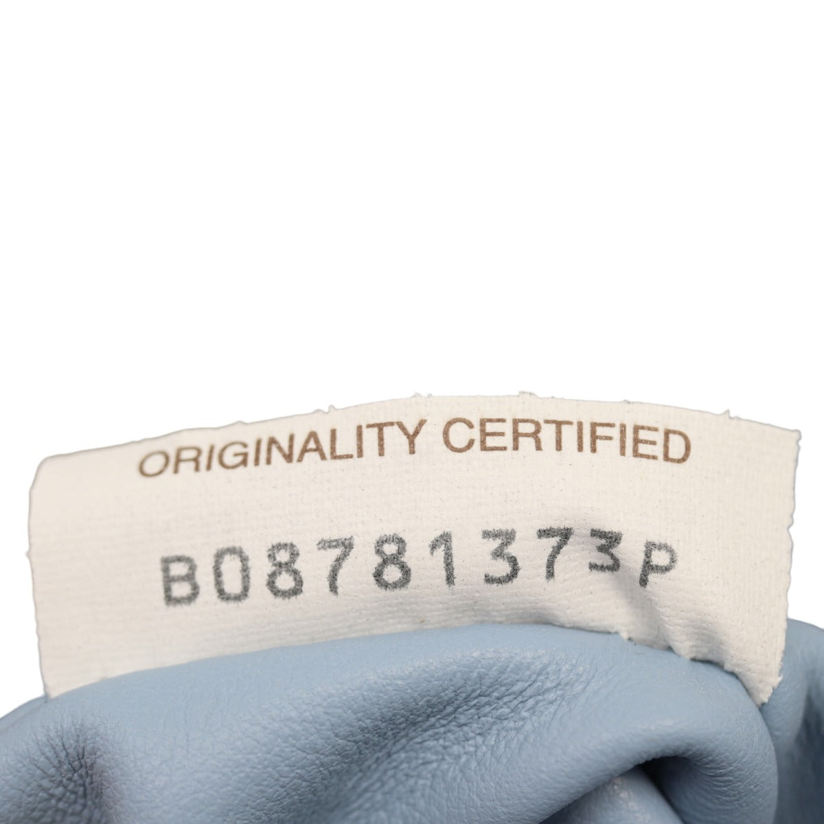 Bottega Veneta The Shoulder Pouch Medium