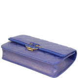 Chanel Iridescent Wallet on Chain