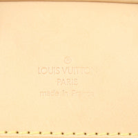 Louis Vuitton Evasion Monogram