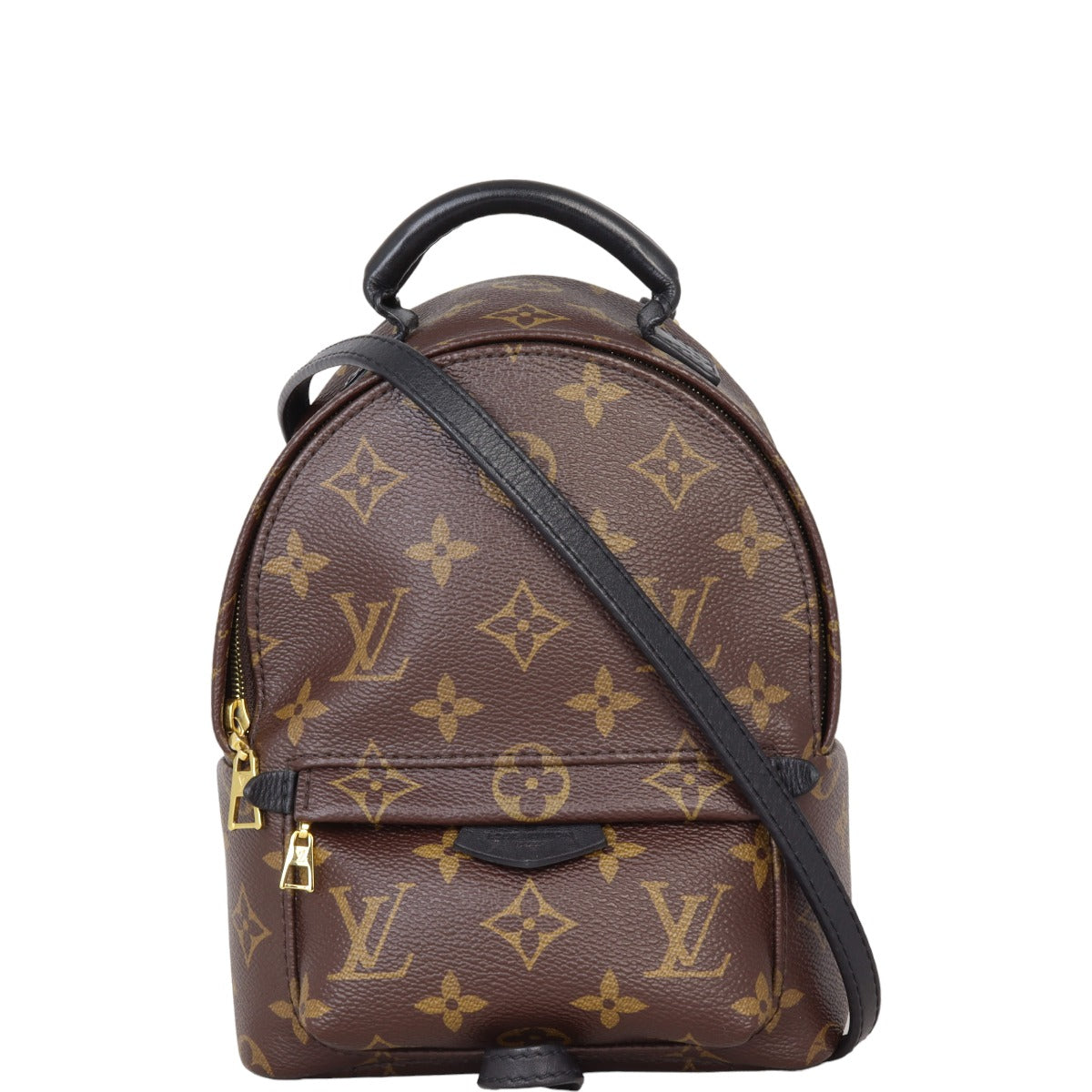 Louis Vuitton Palm Springs Mini Backpack Monogram