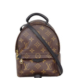 Louis Vuitton Palm Springs Mini Backpack Monogram