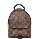 Louis Vuitton Palm Springs Mini Backpack Monogram