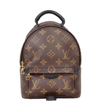 Louis Vuitton Palm Springs Mini Backpack Monogram