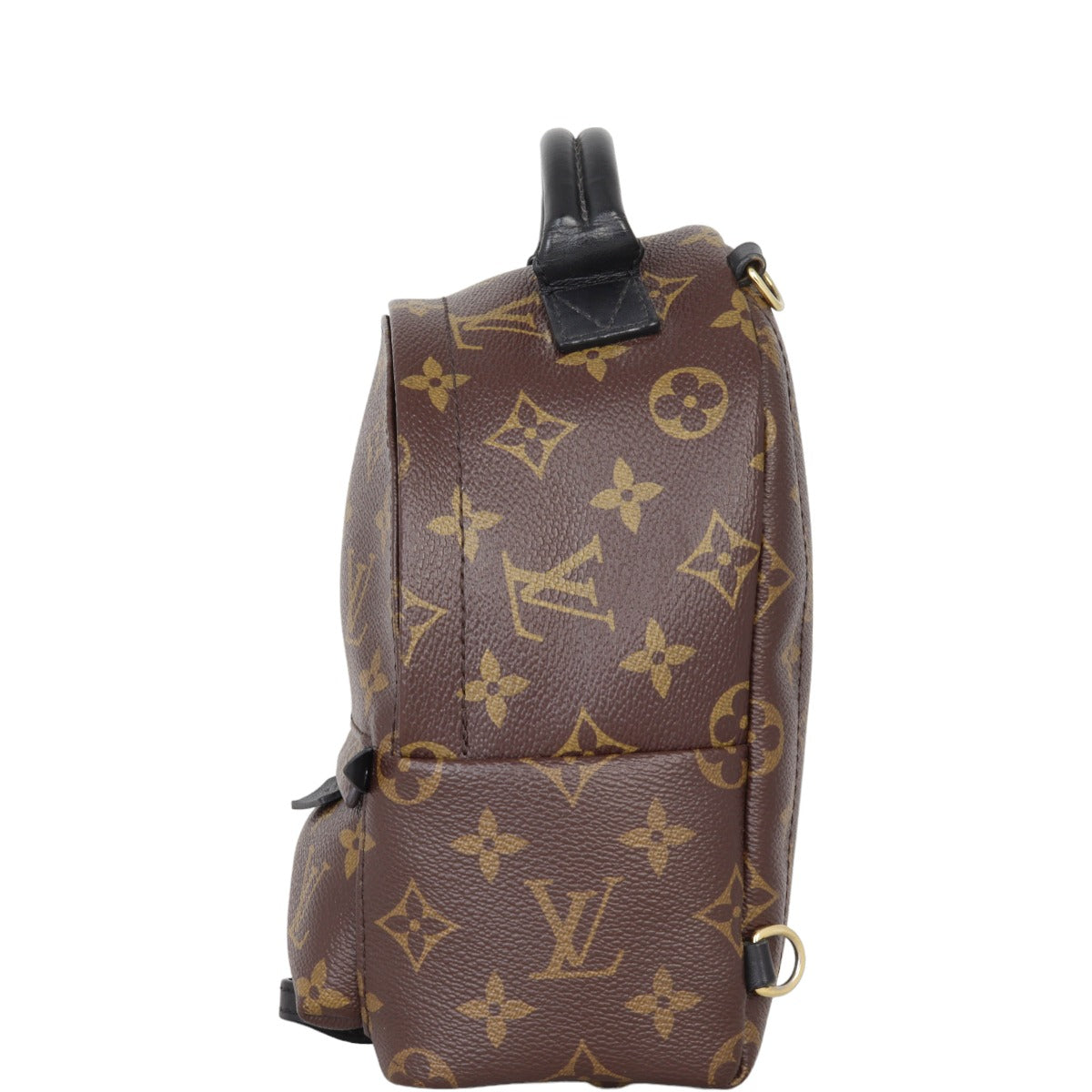 Louis Vuitton Palm Springs Mini Backpack Monogram