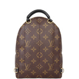 Louis Vuitton Palm Springs Mini Backpack Monogram