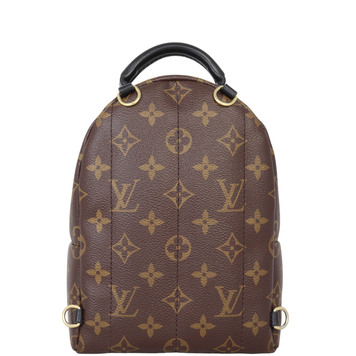 Louis Vuitton Palm Springs Mini Backpack Monogram