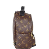 Louis Vuitton Palm Springs Mini Backpack Monogram