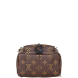 Louis Vuitton Palm Springs Mini Backpack Monogram