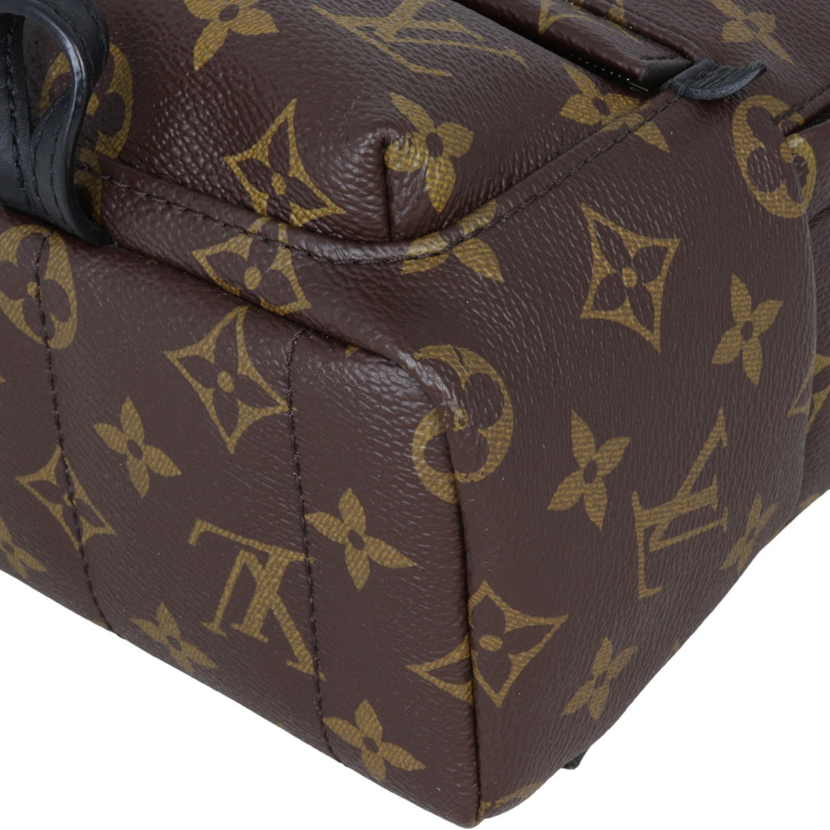 Louis Vuitton Palm Springs Mini Backpack Monogram