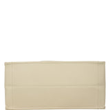 Dior Book Tote Medium
