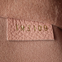 Louis Vuitton Daily Pouch Monogram