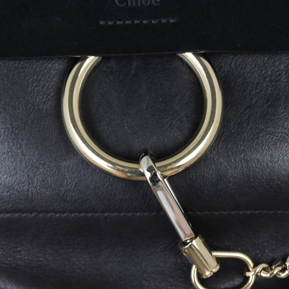 Chloe Faye Small Backpack Hardware