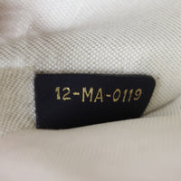 Dior Diorquake Clutch Oblique