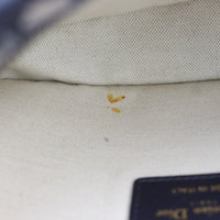 Dior Diorquake Clutch Oblique