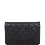 Chanel Classic Wallet on Chain | Silver Hardware