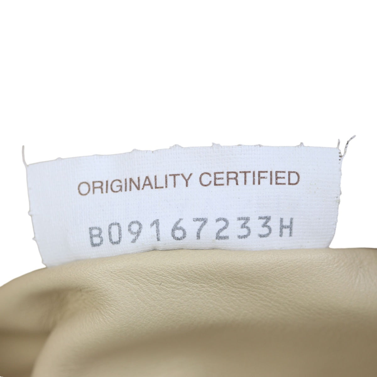 Bottega Veneta The Mini Pouch