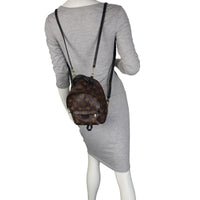 Louis Vuitton Palm Springs Mini Backpack Monogram