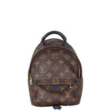 Louis Vuitton Palm Springs Mini Backpack Monogram