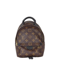 Louis Vuitton Palm Springs Mini Backpack Monogram
