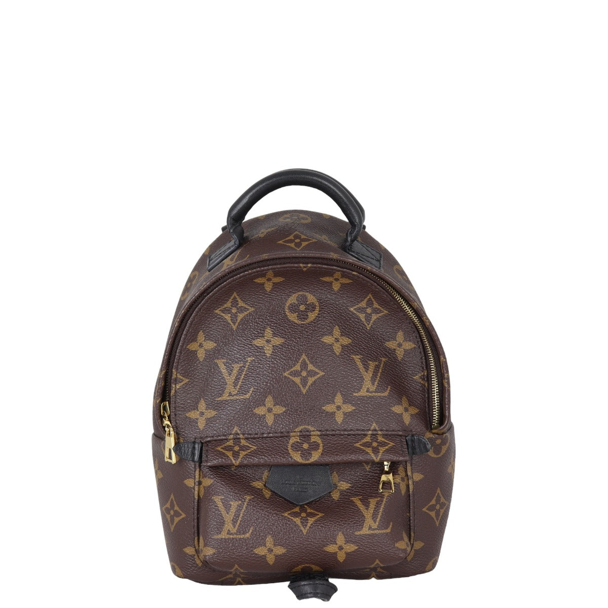 Louis Vuitton Palm Springs Mini Backpack Monogram