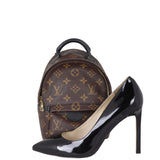 Louis Vuitton Palm Springs Mini Backpack Monogram
