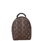 Louis Vuitton Palm Springs Mini Backpack Monogram