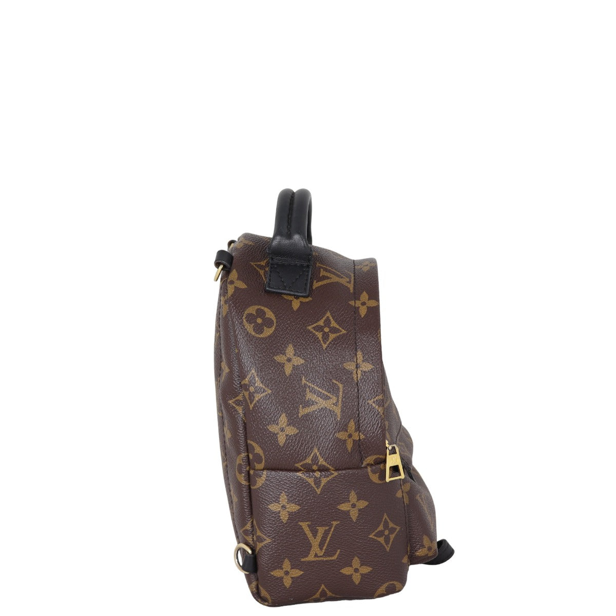 Louis Vuitton Palm Springs Mini Backpack Monogram