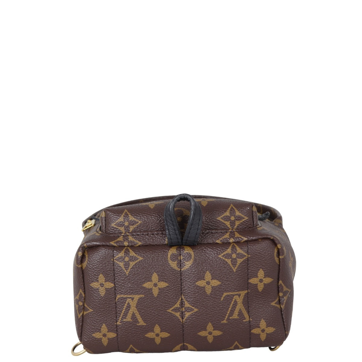 Louis Vuitton Palm Springs Mini Backpack Monogram