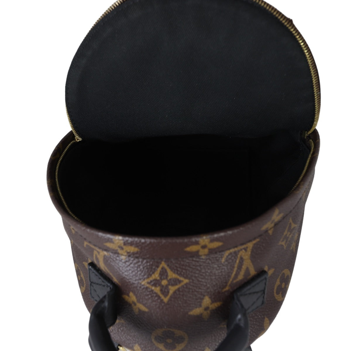 Louis Vuitton Palm Springs Mini Backpack Monogram