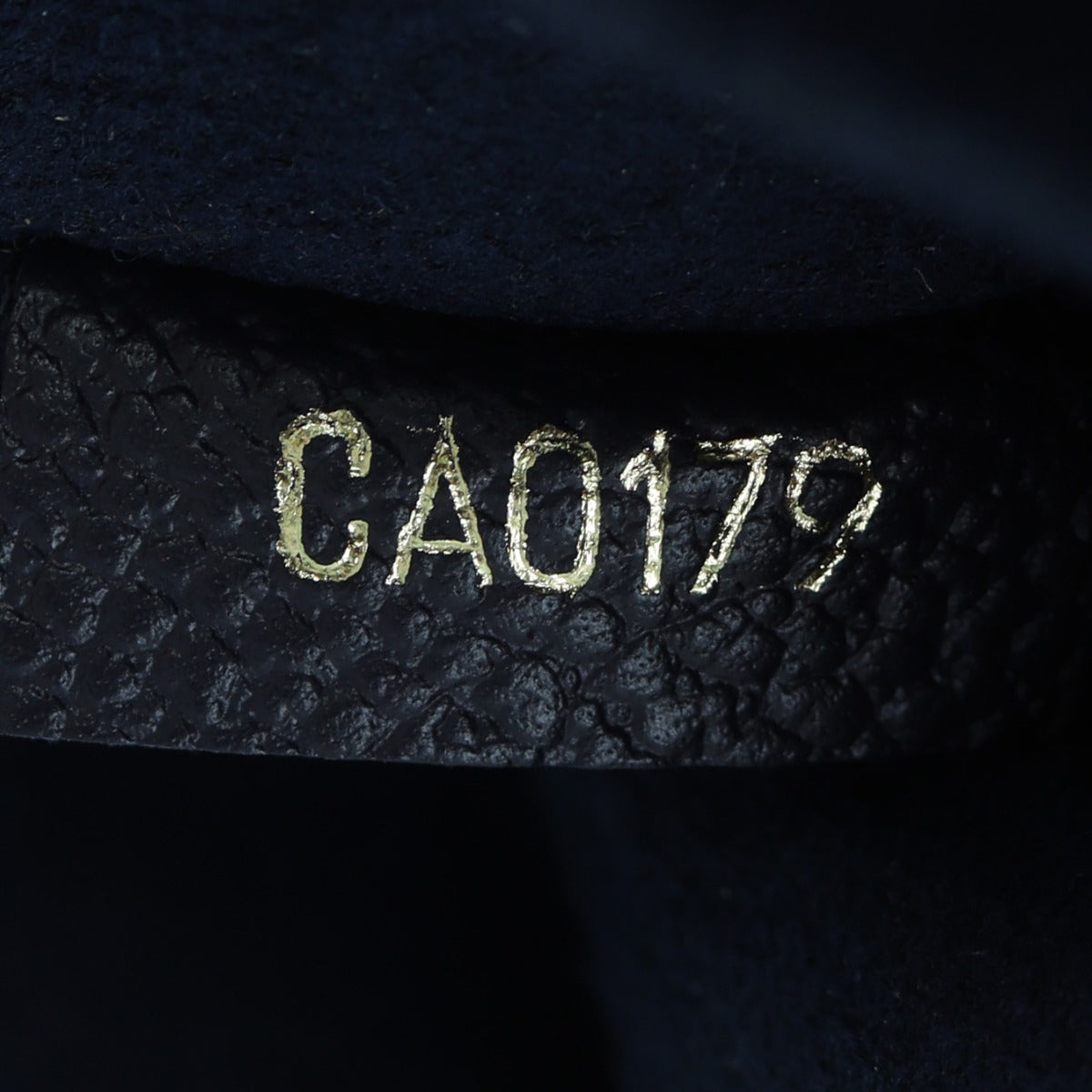 Louis Vuitton Surene MM Monogram Empreinte