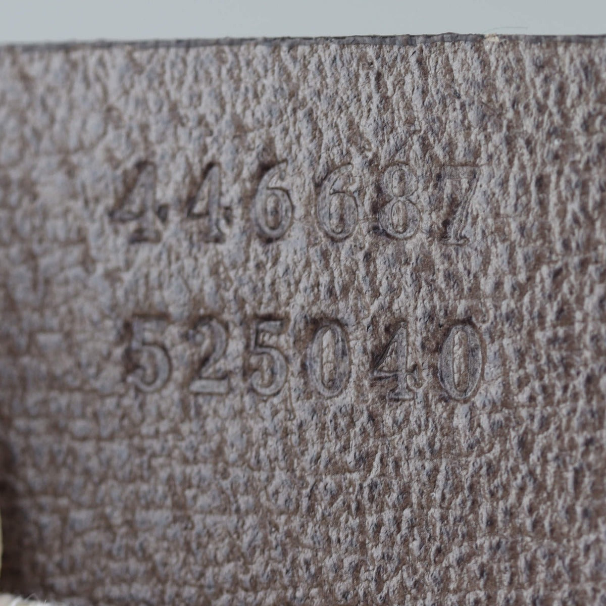 Gucci Dionysus GG Supreme Embroidered Hobo