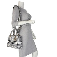 Dior Lady D-Lite Medium