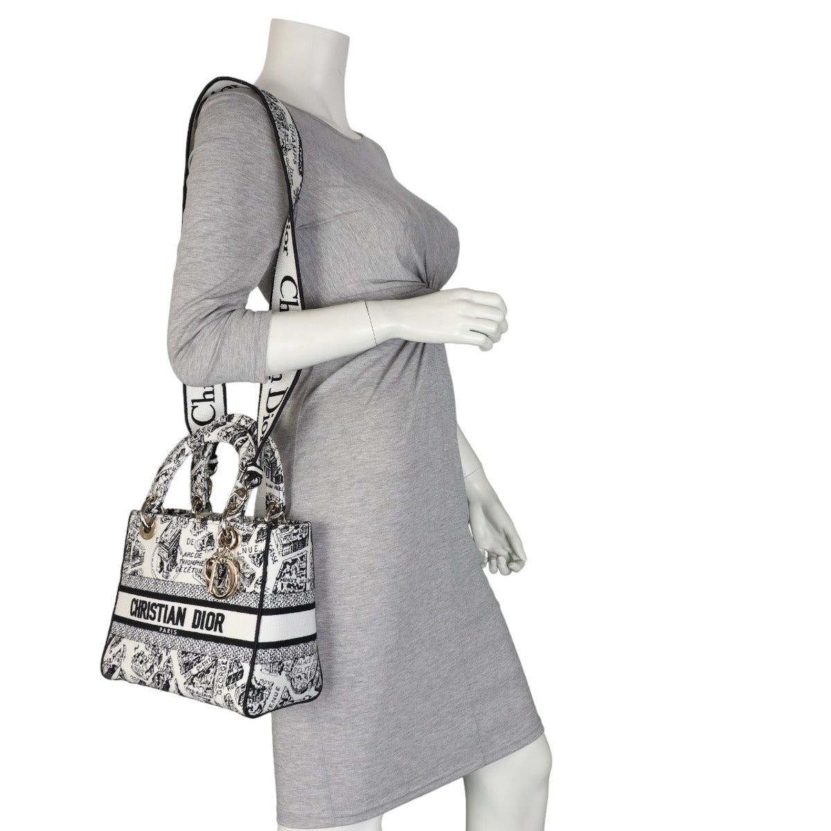 Dior Lady D-Lite Medium