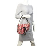 Dior Saddle Bag Embroidered Beaded