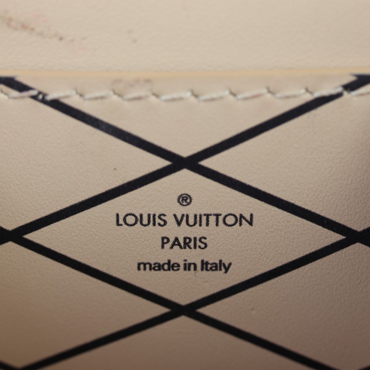 Louis Vuitton Vertical Trunk Pochette Monogram