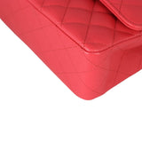 Chanel Classic Double Flap Medium | 25 Series