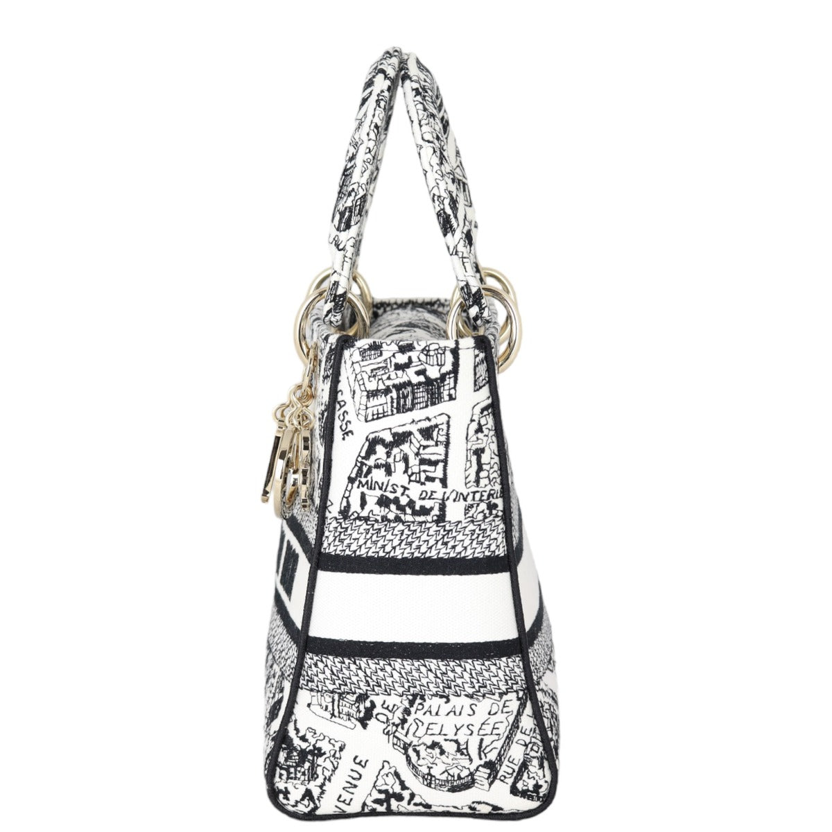 Dior Lady D-Lite Medium