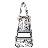 Dior Lady D-Lite Medium